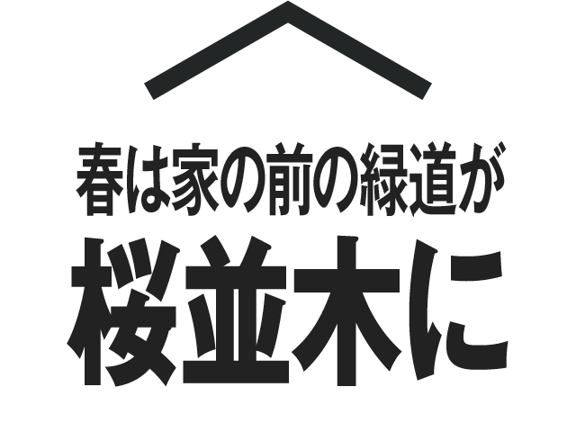 春は家の前の緑道が桜並木に