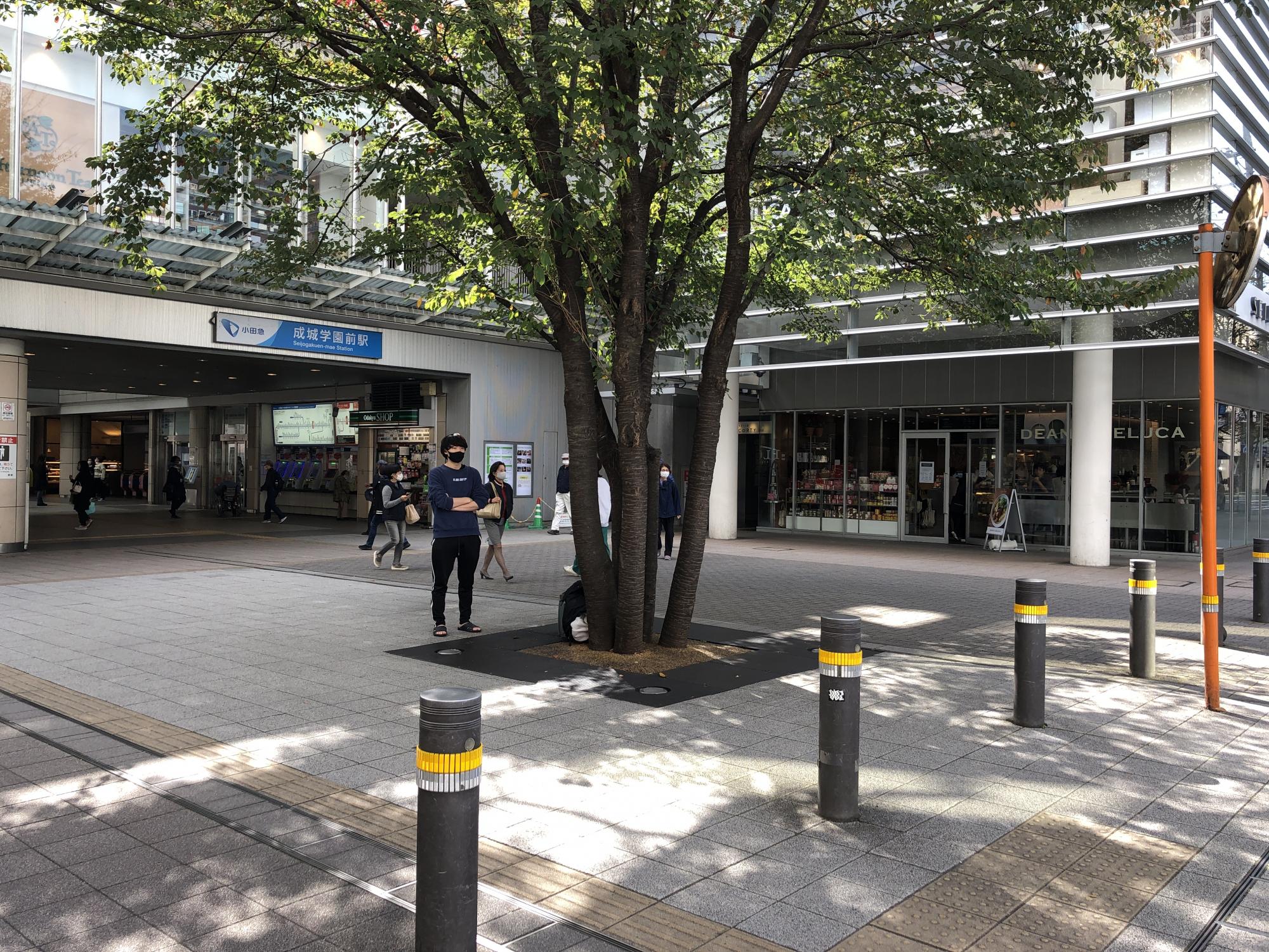 成城学園前 徒歩1分のスケルトン店舗 2f 東京都 世田谷区デザイナーズ リノベーションのオフィス 店舗物件探しはr Store 成城学園前 徒歩1分のスケルトン店舗 2f 東京都 世田谷区デザイナーズ リノベーションのオフィス 店舗物件探しはr Store